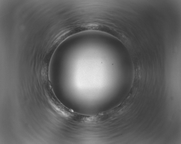 X0000077980092200611031411