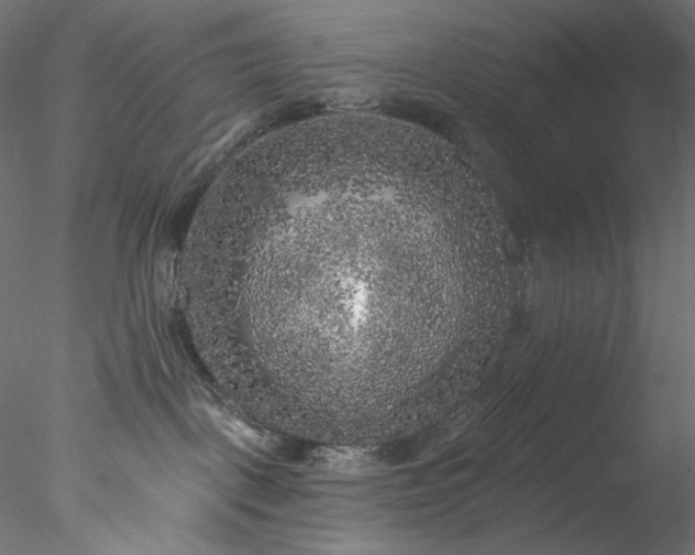 X0000077980093200611031411