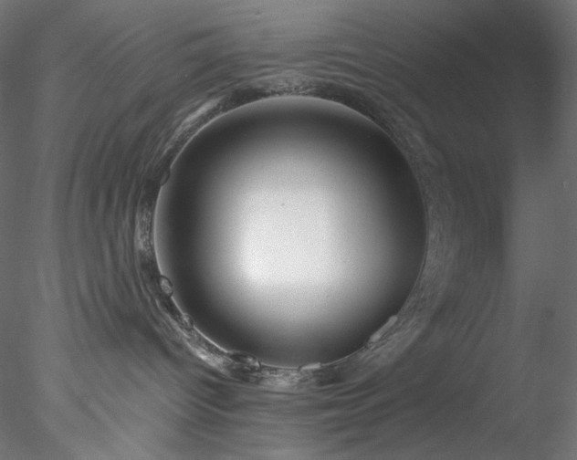 X0000077980096200611031411