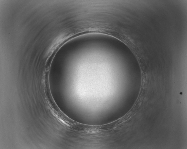 X0000077980098200611031410