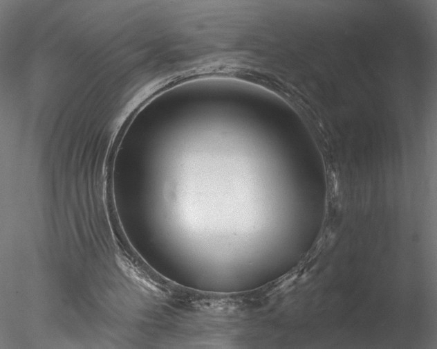 X0000077980100200611031410