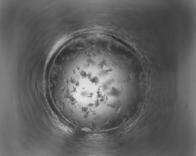 X0000077980102200611031410