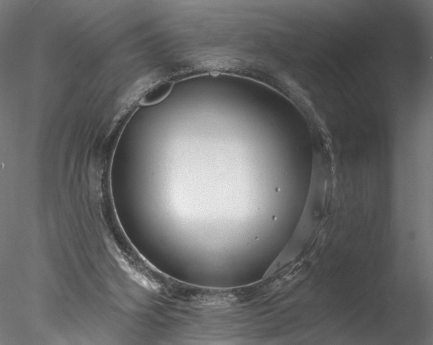 X0000077980106200611031410