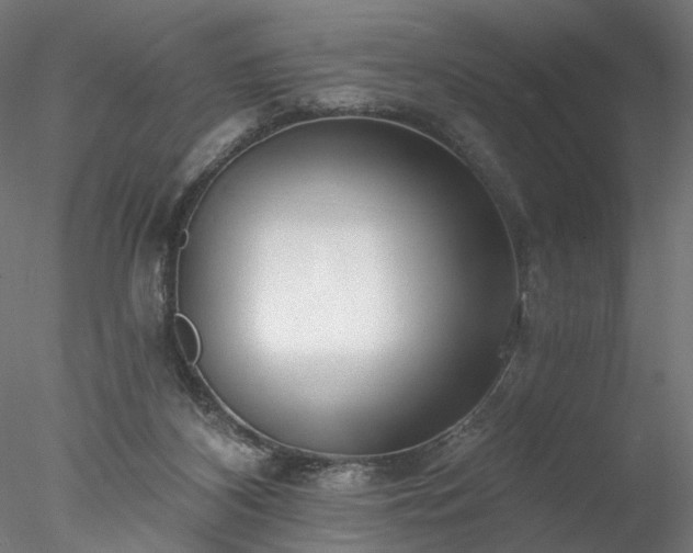X0000077980116200611031410