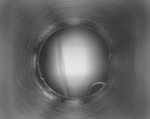 X0000077980118200611031409