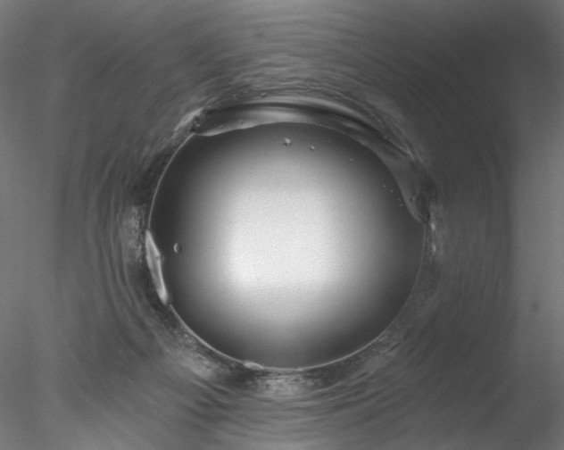 X0000077980121200611031409