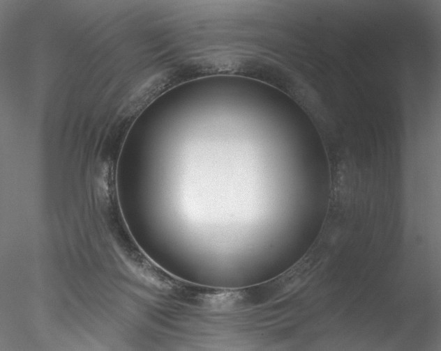 X0000077980122200611031409