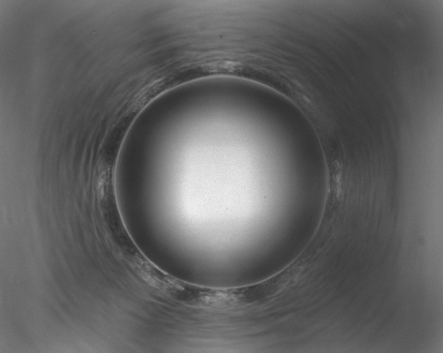 X0000077980125200611031409