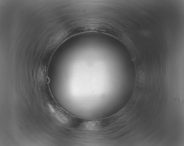 X0000077980126200611031409