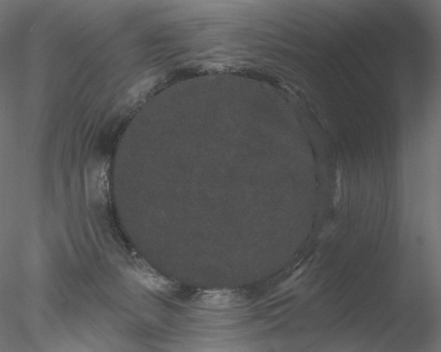 X0000077980127200611031409