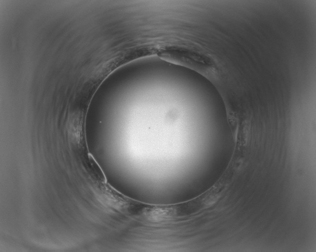 X0000077980129200611031409