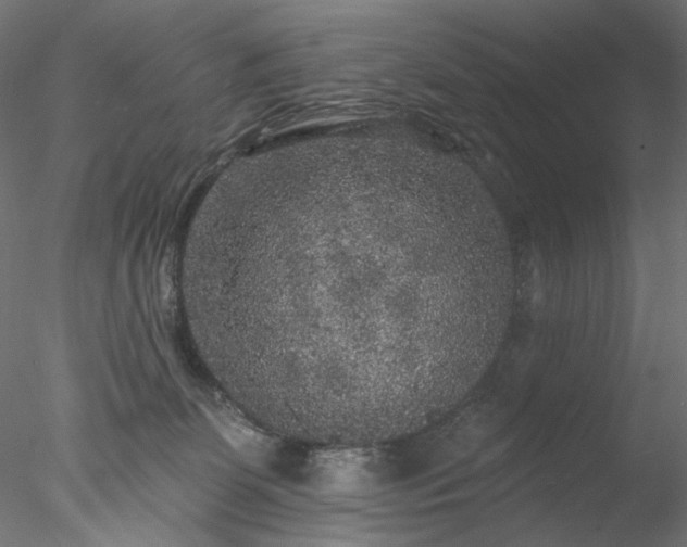 X0000077980131200611031409