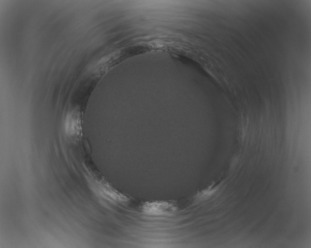 X0000077980137200611031409