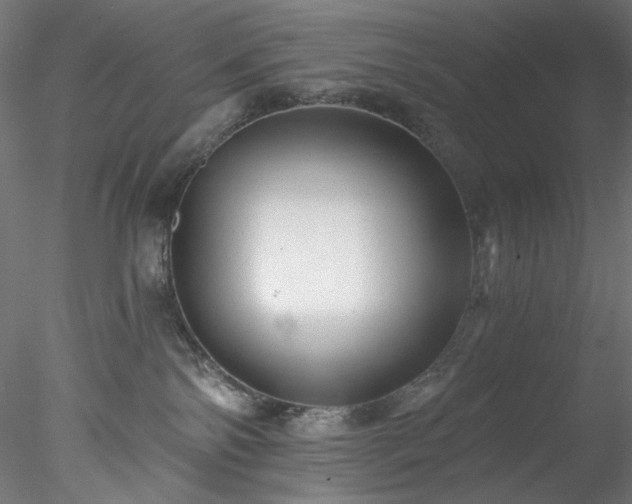 X0000077980138200611031409