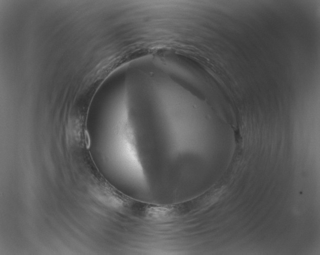 X0000077980139200611031409