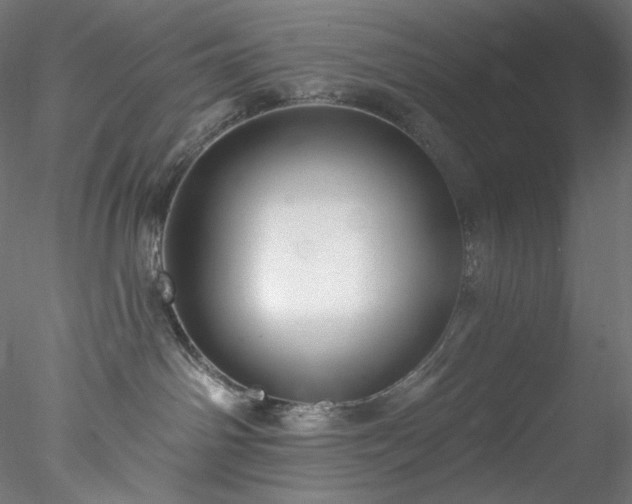 X0000077980142200611031409