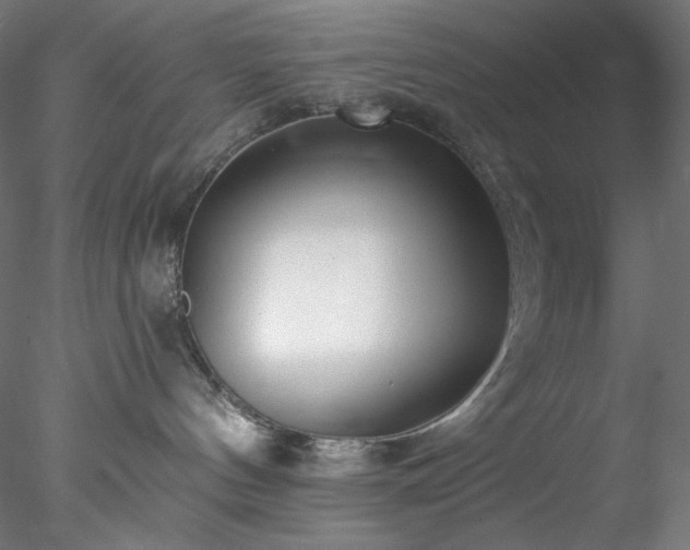 X0000077980144200611031409