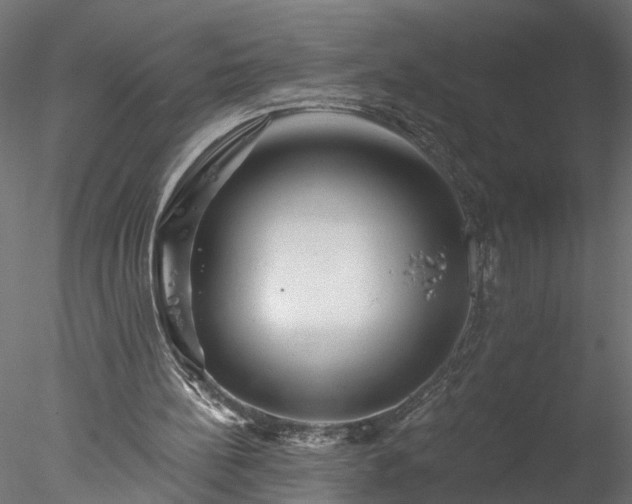 X0000077980148200611031408