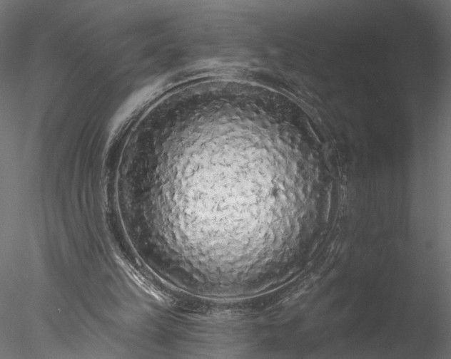 X0000077980149200611031408