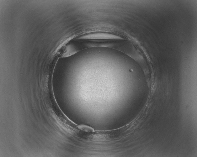 X0000077980154200611031408