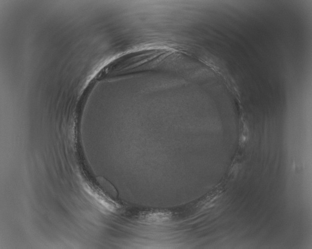 X0000077980156200611031408