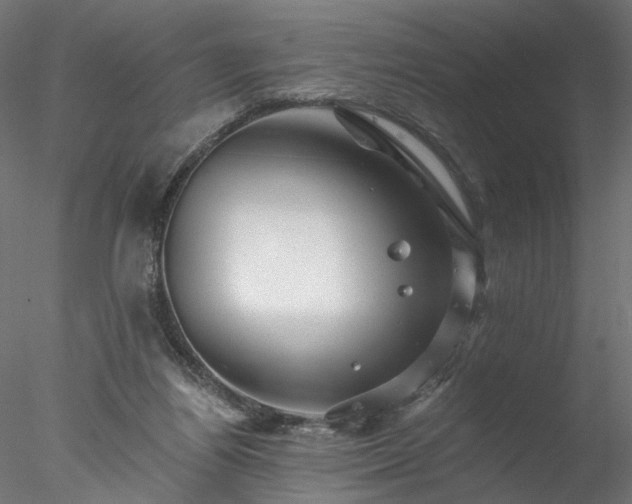 X0000077980164200611031409