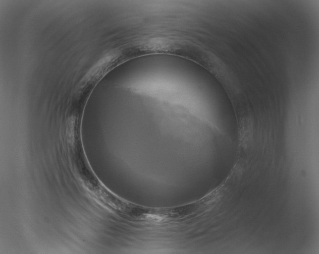X0000077980167200611031409
