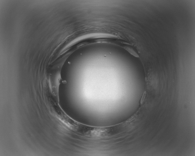 X0000077980172200611031409