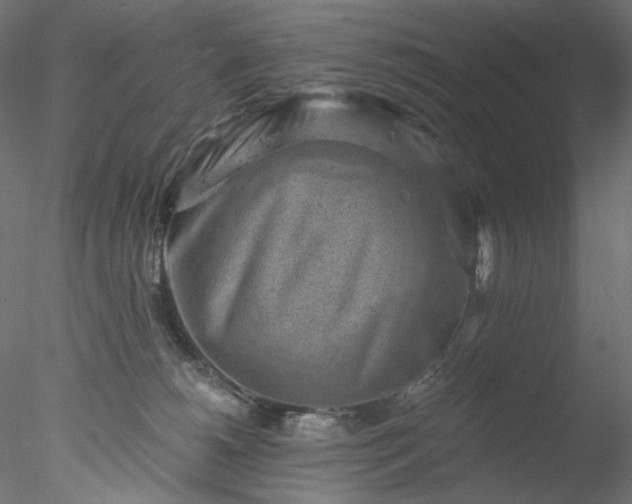 X0000077980180200611031409