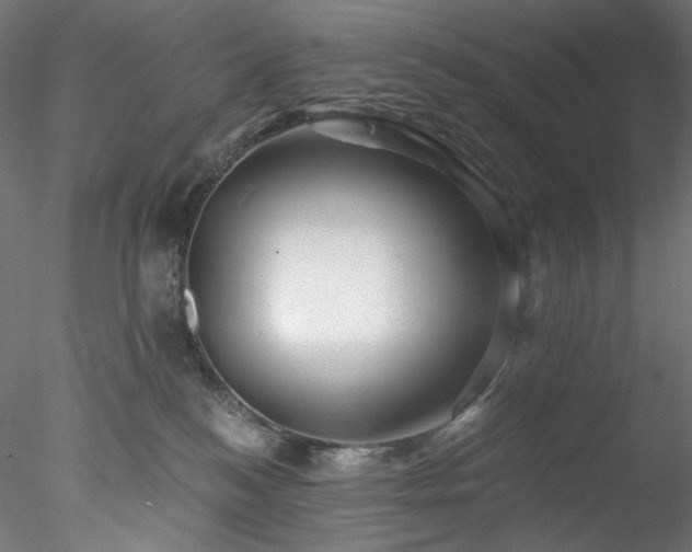 X0000077980184200611031409