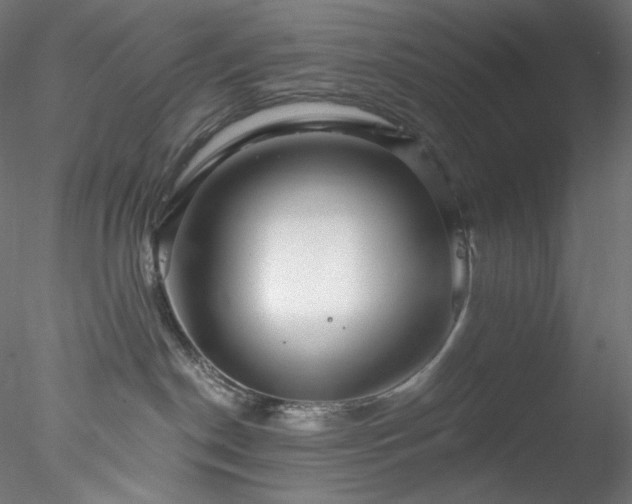X0000077980190200611031409