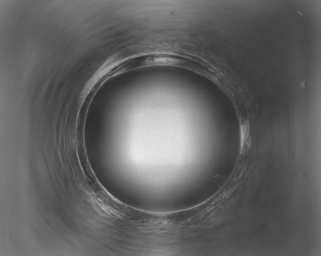 X0000077980195200611031408