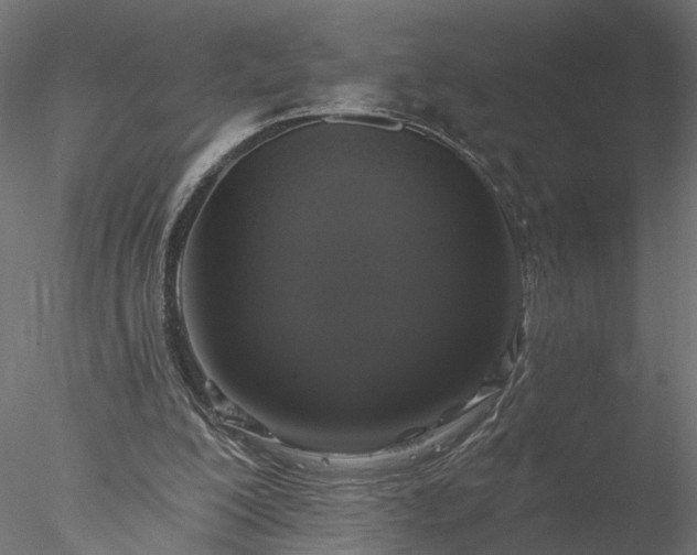 X0000077980200200611031408