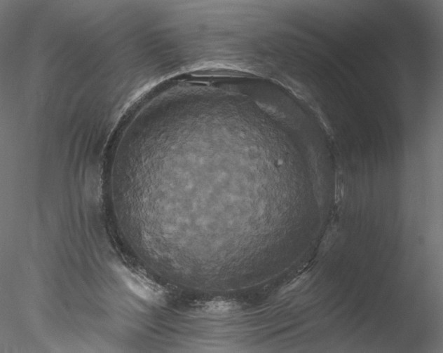 X0000077980204200611031408