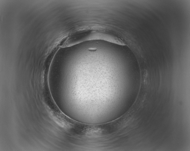 X0000077980206200611031408