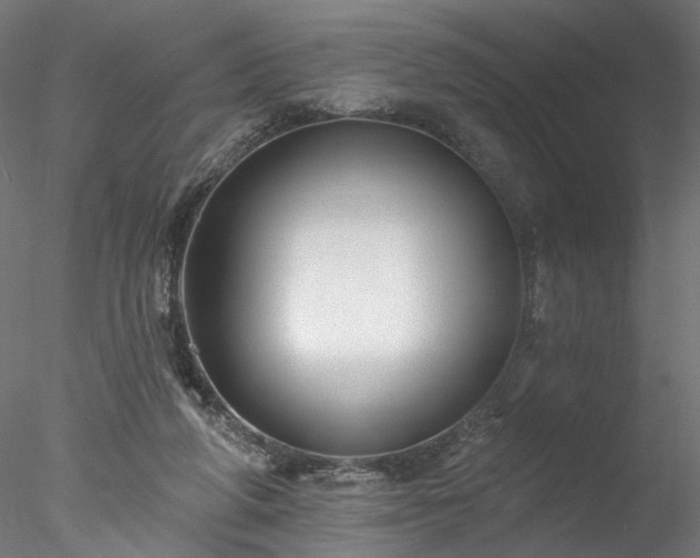 X0000077980210200611031408