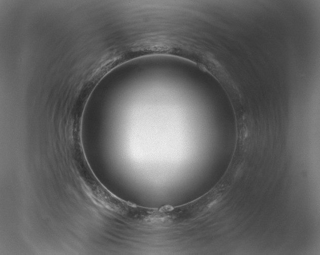 X0000077980213200611031408