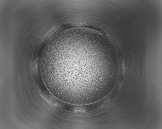 X0000077980214200611031408