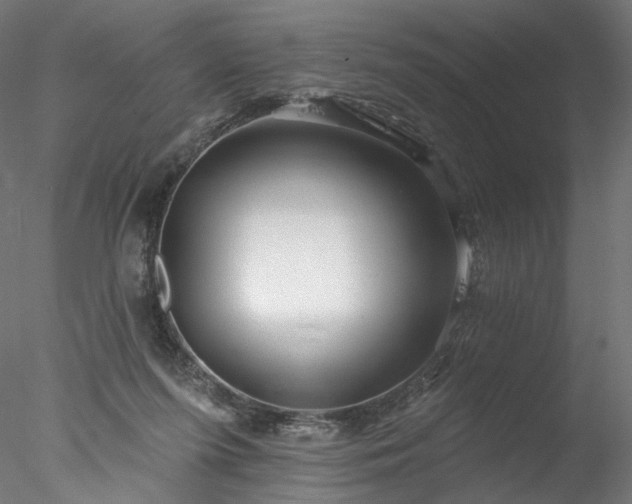 X0000077980215200611031408
