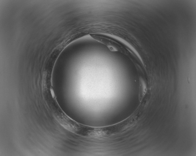 X0000077980217200611031408