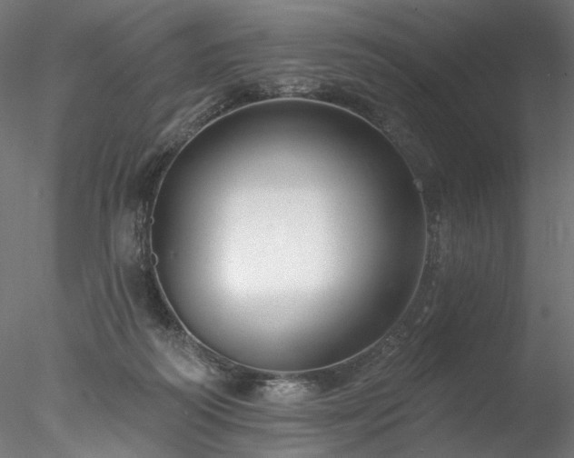 X0000077980218200611031408