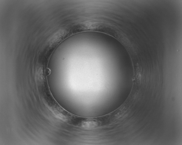 X0000077980220200611031408