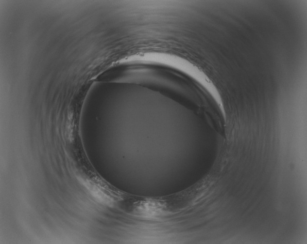 X0000077980223200611031408