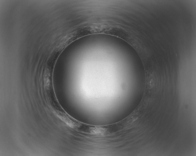X0000077980226200611031408