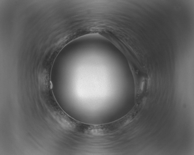 X0000077980228200611031408