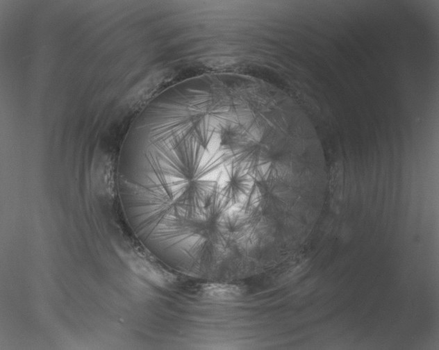 X0000077980234200611031408