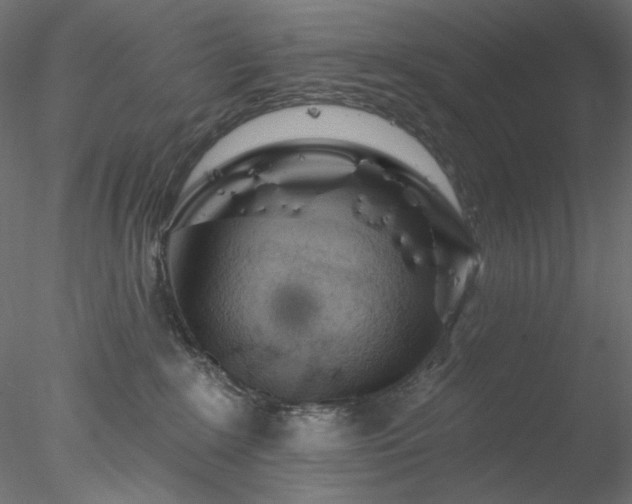 X0000077980235200611031408
