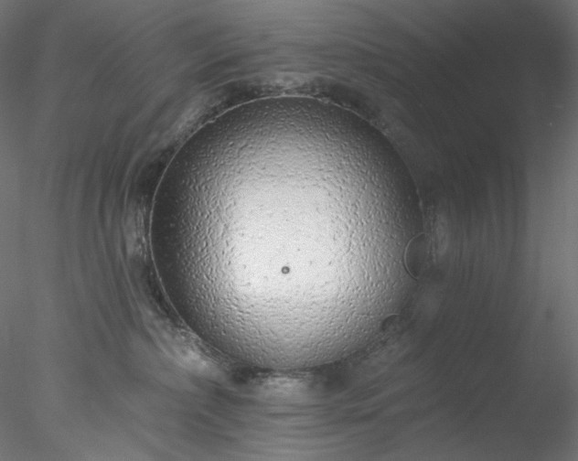 X0000077980236200611031408