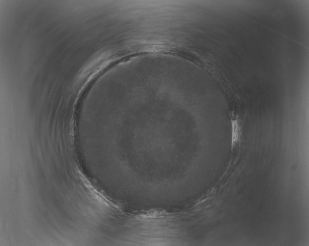 X0000077980243200611031407