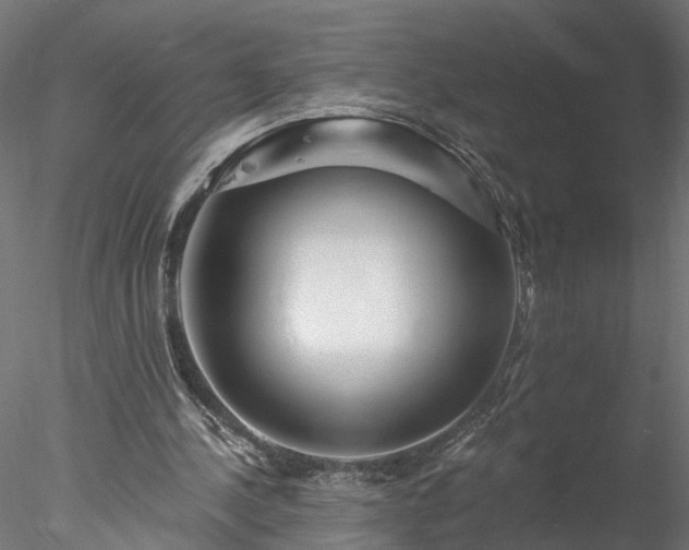 X0000077980244200611031407